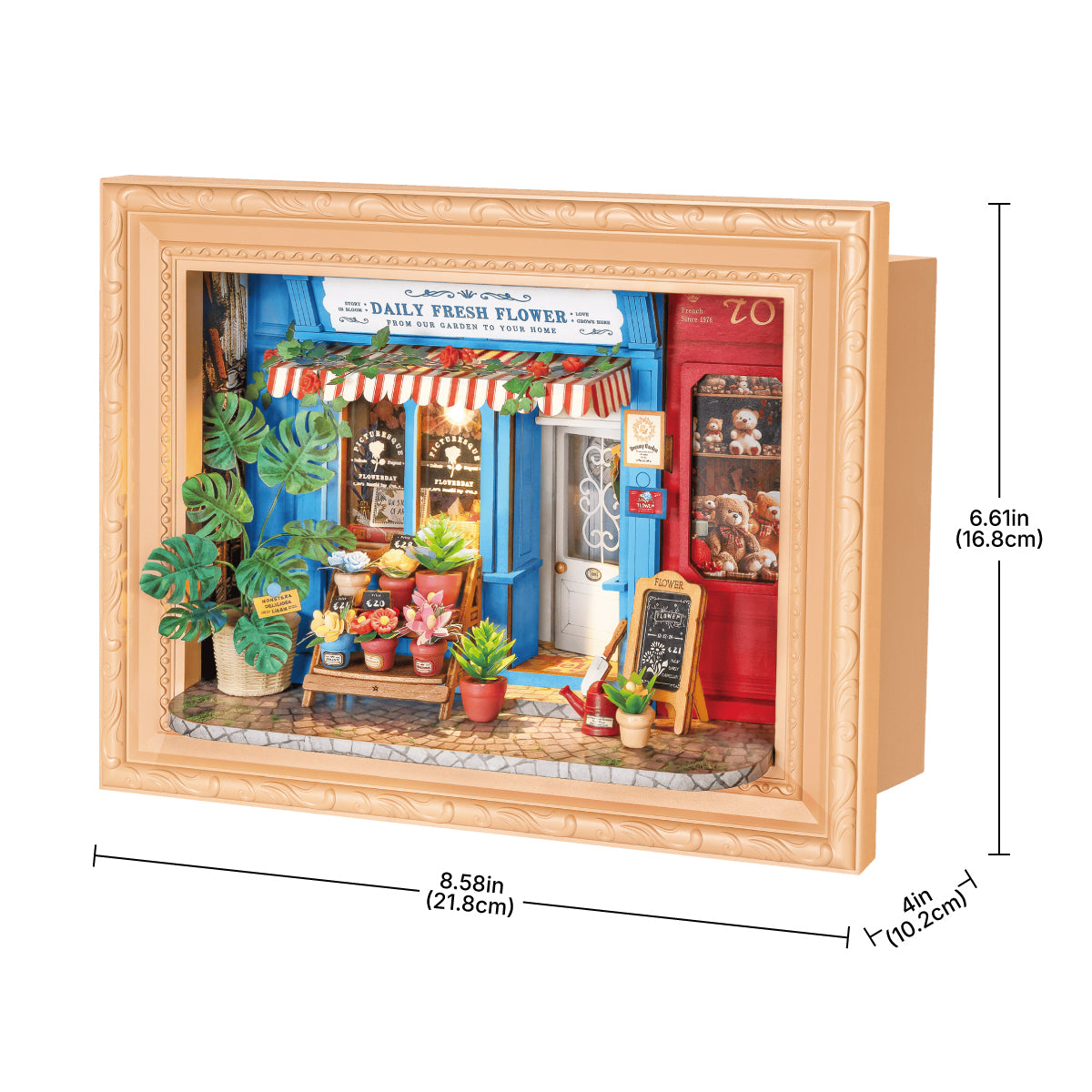 Daily Fresh Flower DP003 size graphic, 21.6 x 4.8 x 16.6 cm story frame