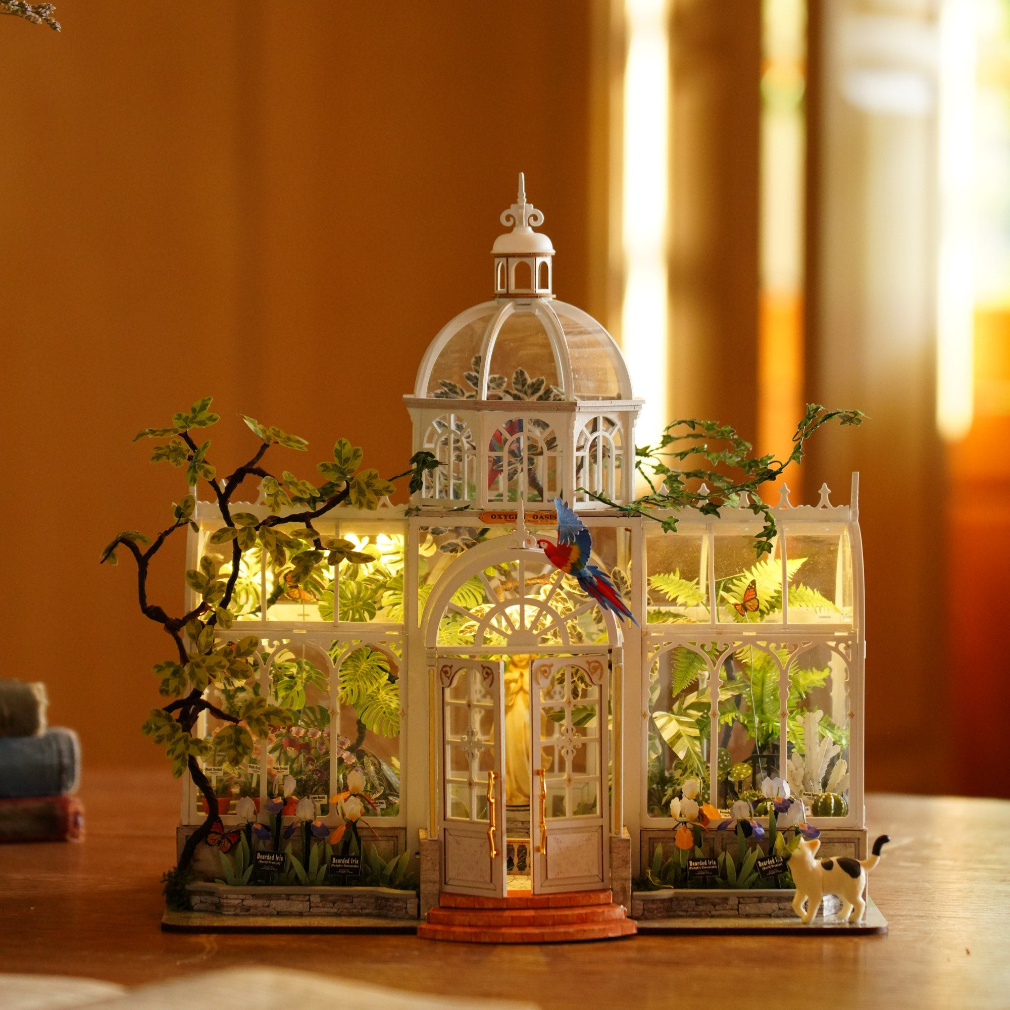 Rolife Oxygen Oasis DH102 completed botanical garden display with warm interior details