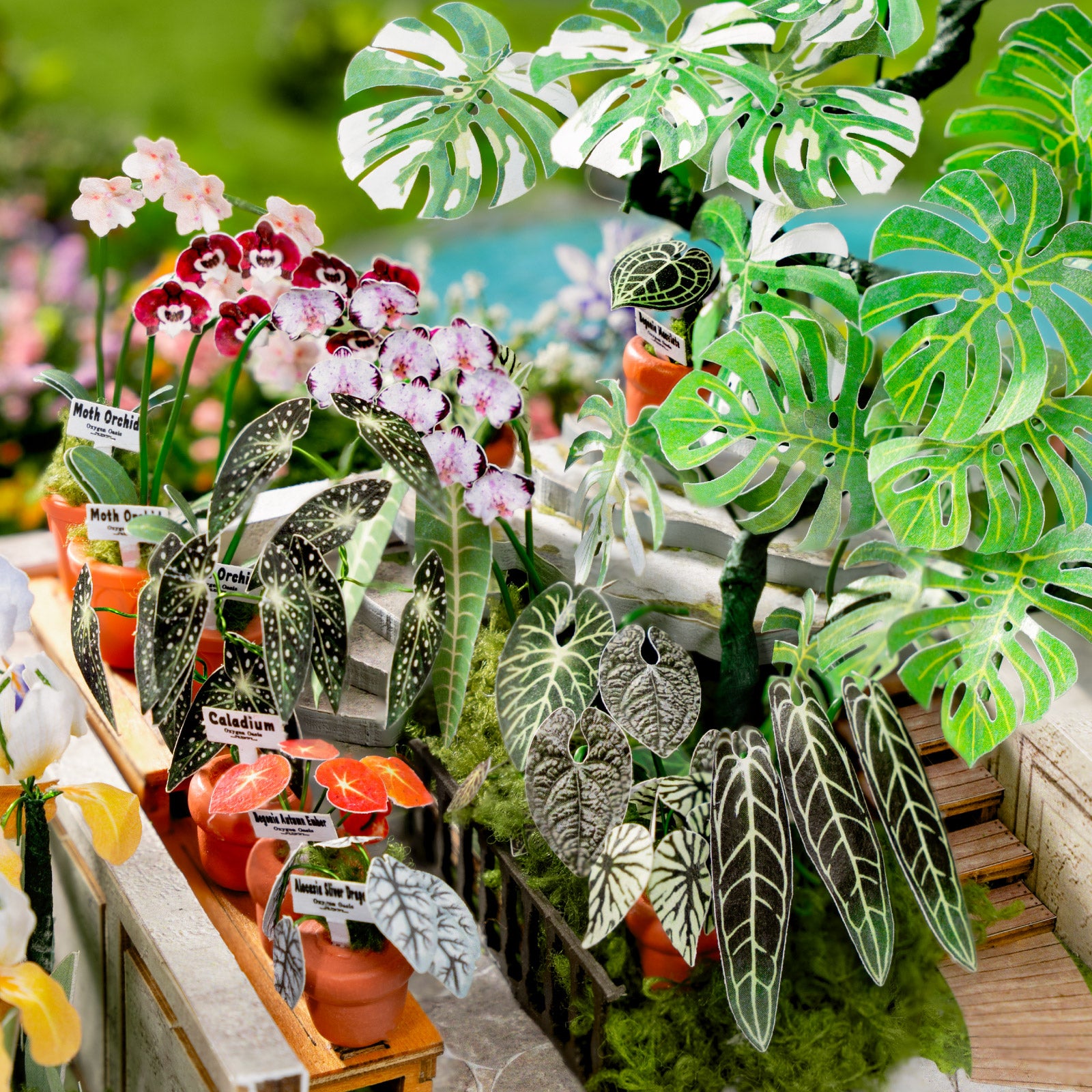 Rolife Oxygen Oasis DH102 close-up detail of plant shelves and miniature accessories
