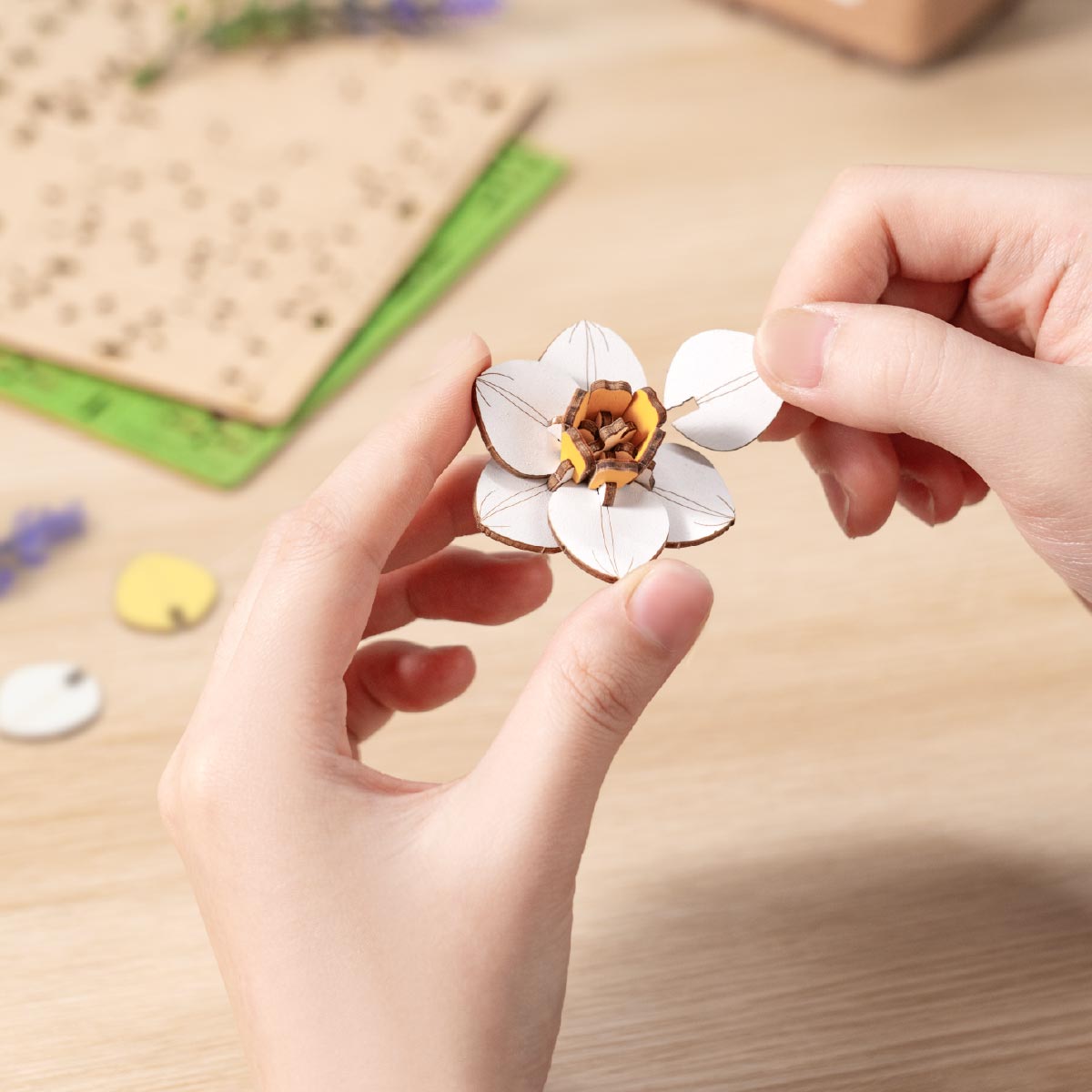 Close-up of Narcissus TF002 flower assembly with hands shaping wooden petals