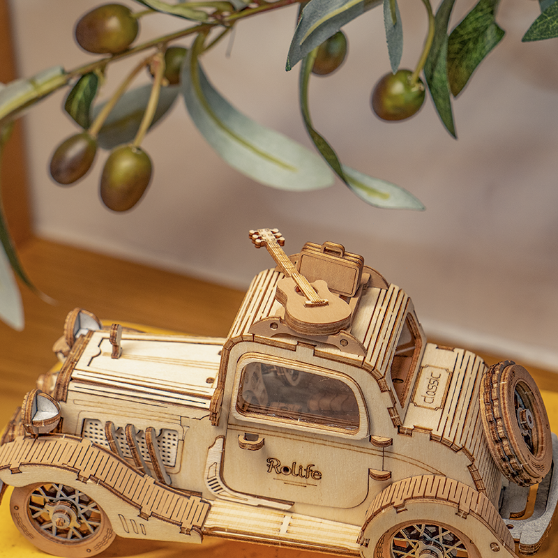 Close-up of the Rolife Vintage Car roof rack with guitar and luggage